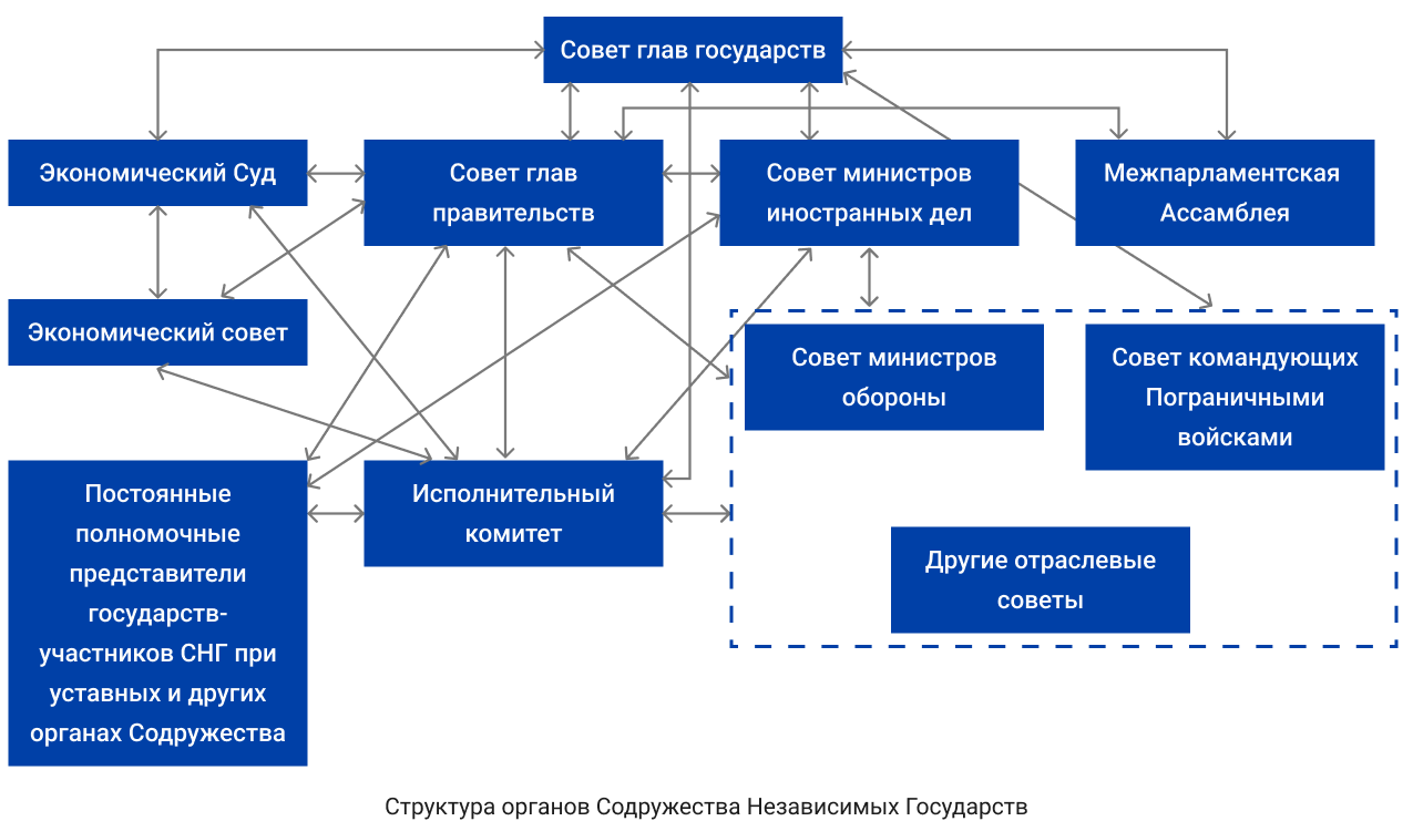 Структура органов